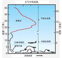 臭氧层 臭氧层