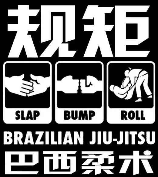 巴西柔术 巴西柔术