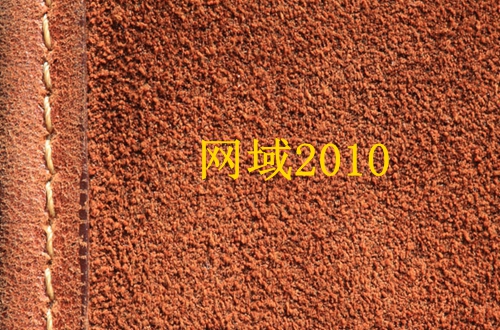 网域2010 网域2010