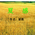 夏感 夏感