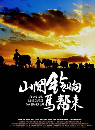 陈懿