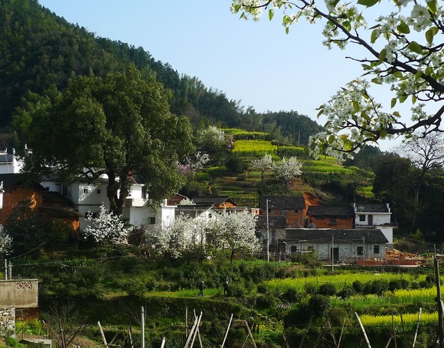步云山乡 步云山乡