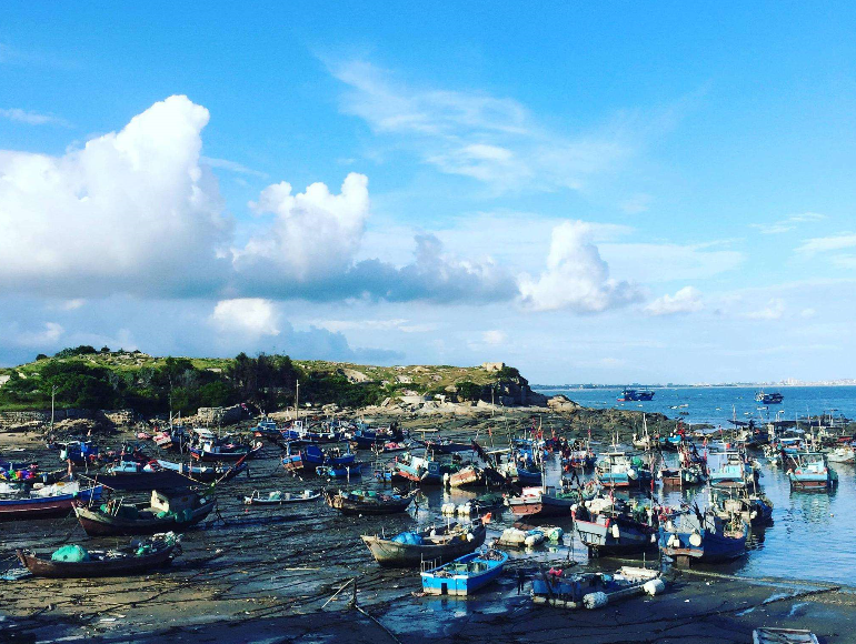 獭窟港 獭窟港
