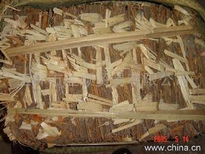 玉桂 玉桂