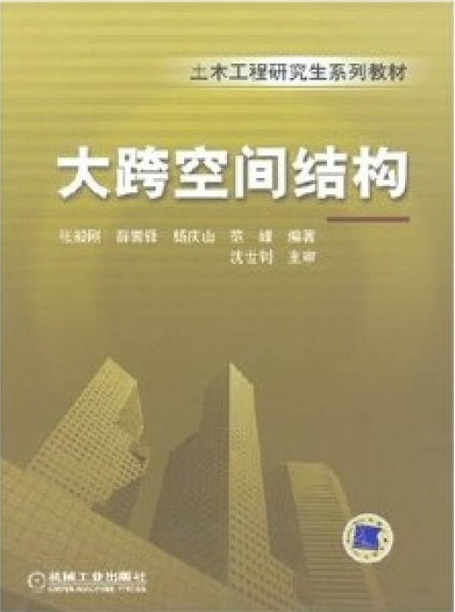 大跨空间结构 大跨空间结构