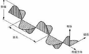 偏振光原理 偏振光原理