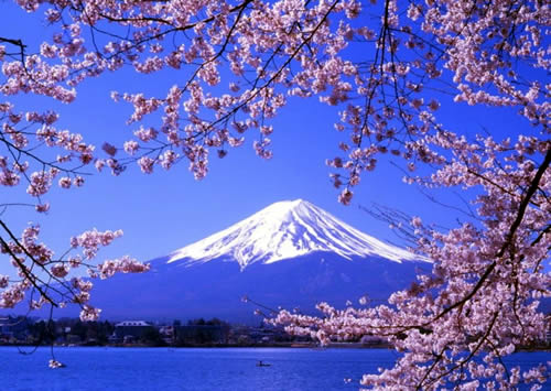 富士山 富士山