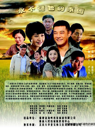 许敏