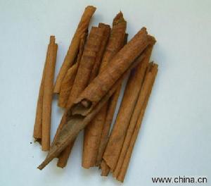 玉桂 玉桂