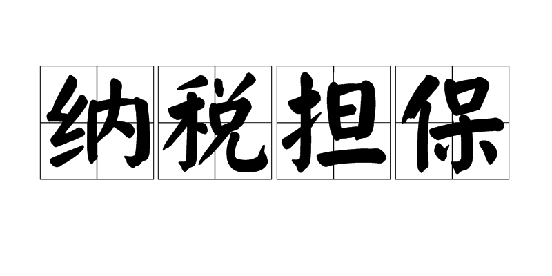 纳税担保 纳税担保