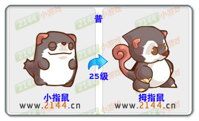少年精灵王拇指鼠进化图 少年精灵王拇指鼠进化图