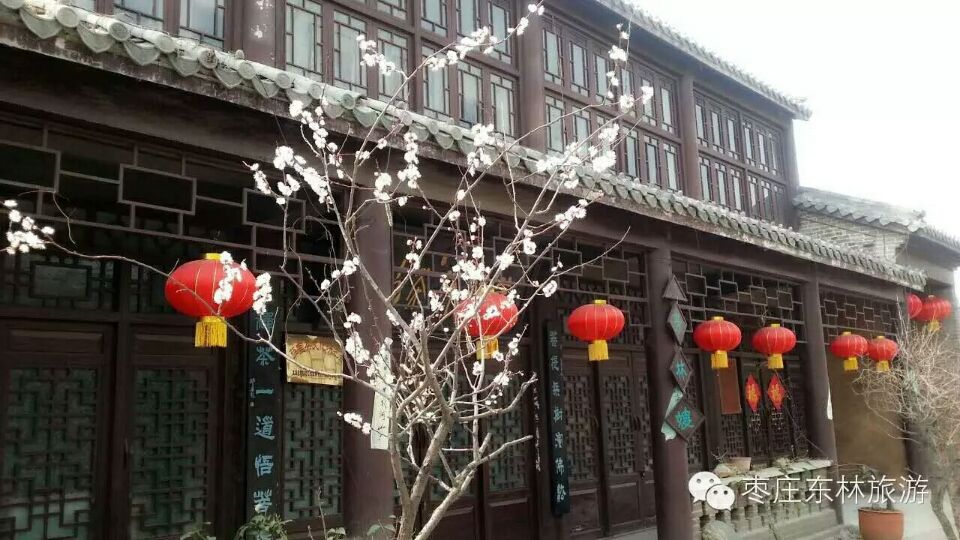 春意盎然 春意盎然
