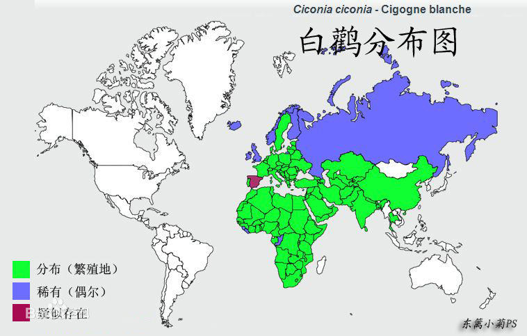 白鹳分布图 白鹳分布图
