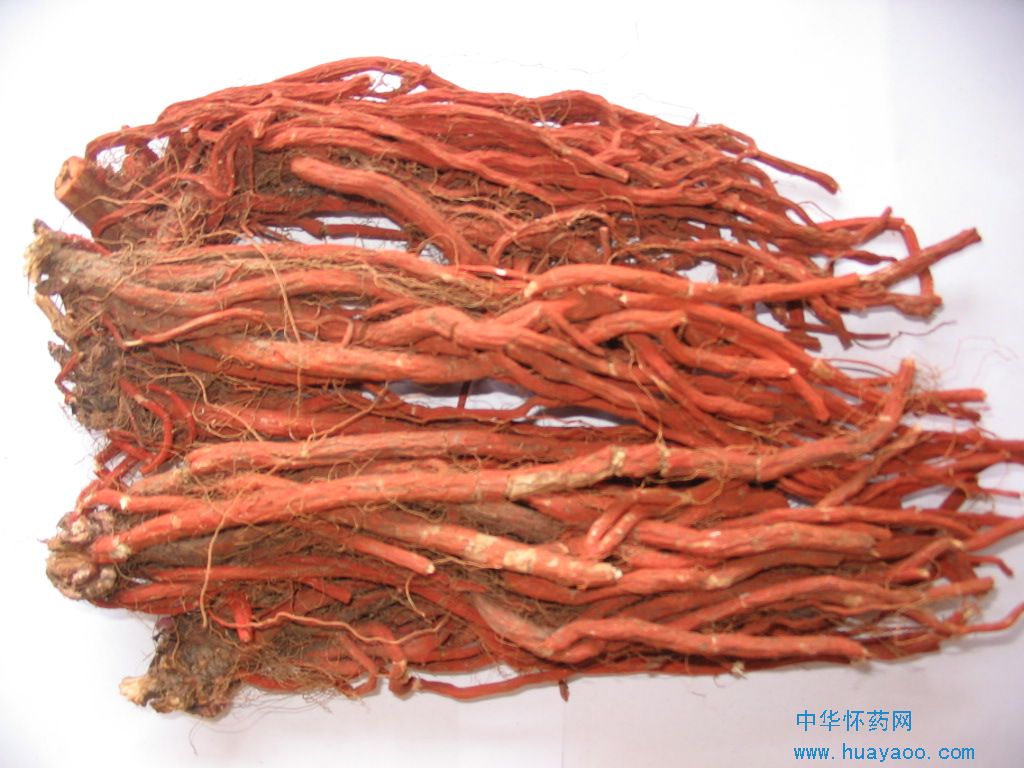 中药材“丹参”样品 中药材“丹参”样品