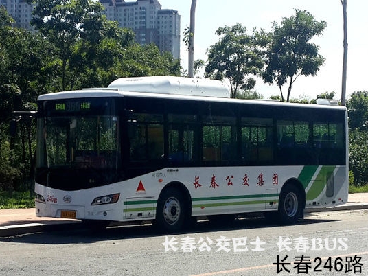 长春公交246路 长春公交246路