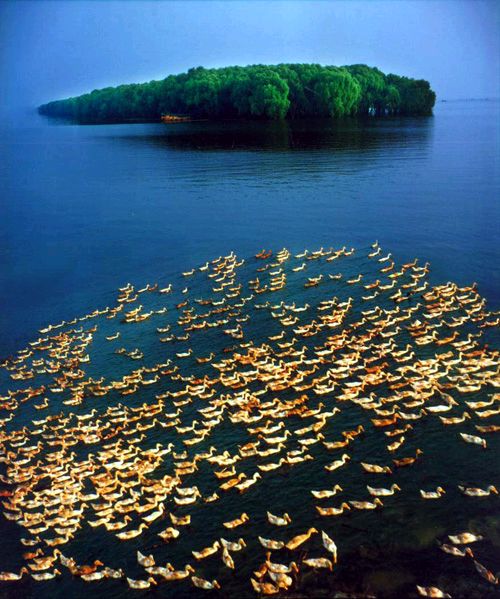 洞庭湖 洞庭湖