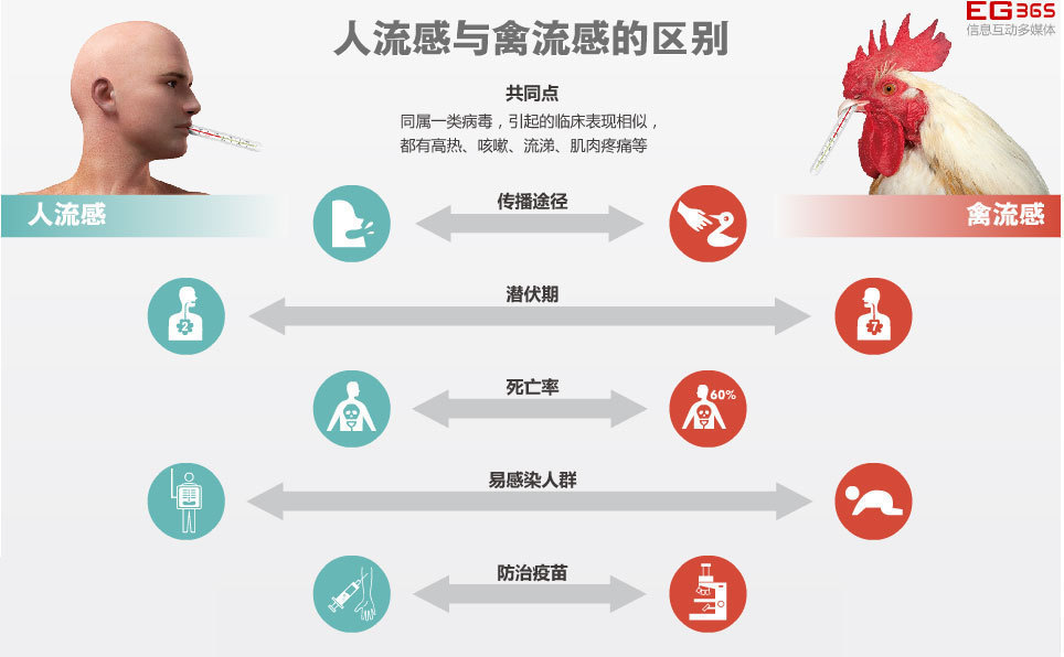 流感病毒诊疗方案 流感病毒诊疗方案