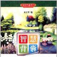 美字行遍天下钢笔楷书字帖系列:智慧背囊 美字行遍天下钢笔楷书字帖系列:智慧背囊