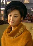 啼笑因缘(2004年袁立胡兵主演电视剧)
