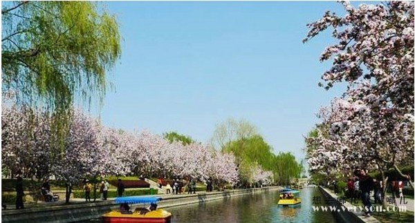 元大都(大都(北京旧称)) 元大都(大都(北京旧称))