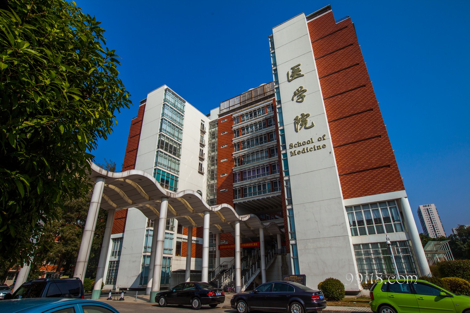 暨南大学 暨南大学