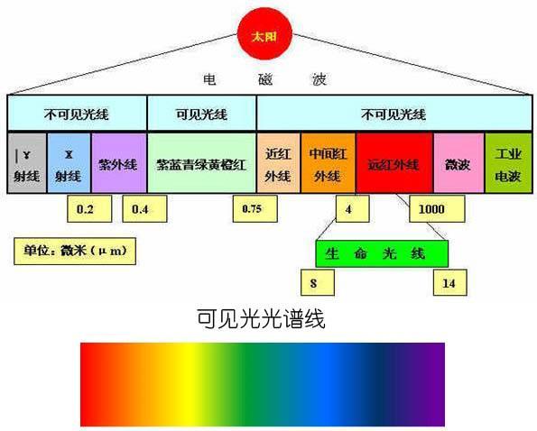 生命光线 生命光线