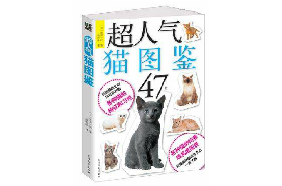 超人气猫图鉴47种 超人气猫图鉴47种