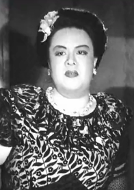 三毛流浪记(1949年赵明、严恭执导电影)