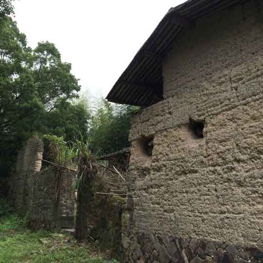 岭头村(福建省仙游县盖尾镇岭头村) 岭头村(福建省仙游县盖尾镇岭头村)