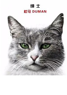 爱猫之城