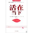 活在当下(拉姆·达斯着图书) 活在当下(拉姆·达斯着图书)
