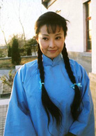 啼笑因缘(2004年袁立胡兵主演电视剧)