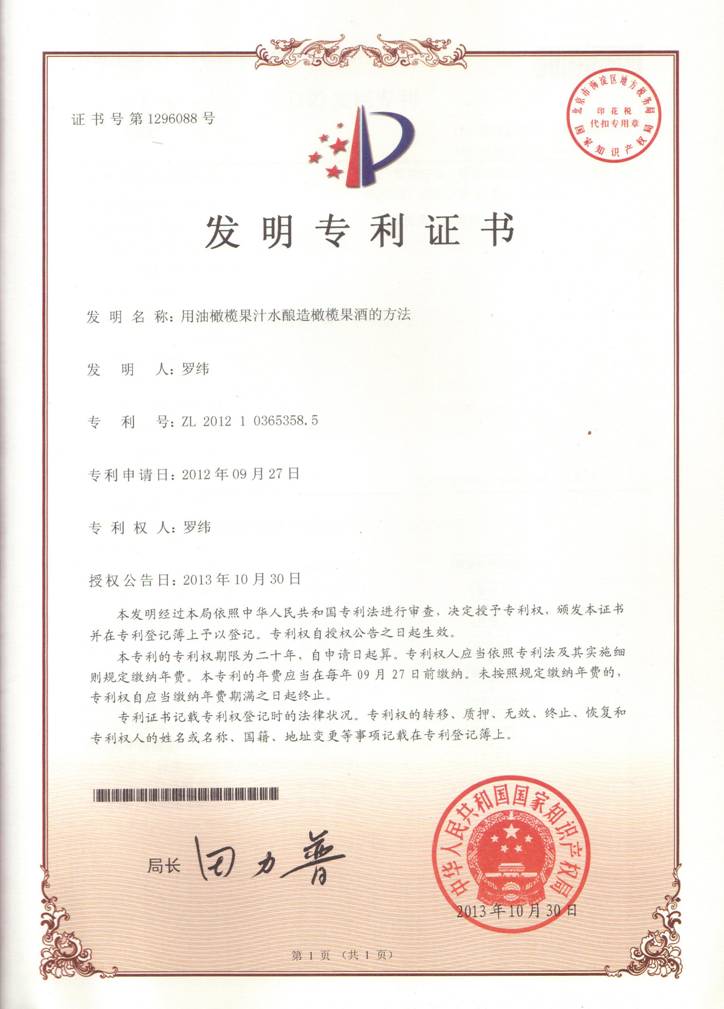 发明专利权 发明专利权
