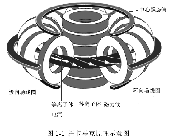 托卡马克原理示意图