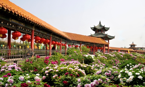 菏泽(山东菏泽)