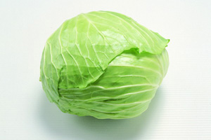 捲心菜 捲心菜