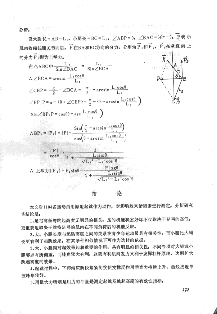 小腿长 小腿长