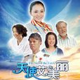 天使艾美丽(2013年狄杰执导电视剧) 天使艾美丽(2013年狄杰执导电视剧)