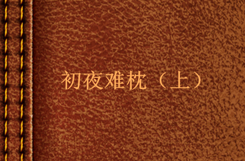 初夜难枕(上) 初夜难枕(上)