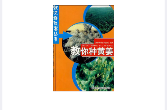 教你种黄姜 教你种黄姜