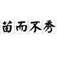 苗而不秀 苗而不秀