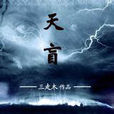 天盲 天盲