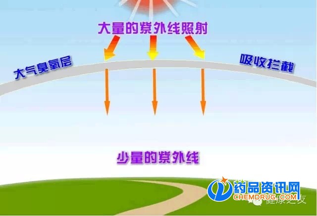 臭氧分解 臭氧分解