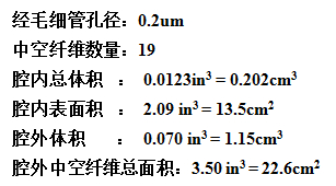 动态血脑屏障参数 动态血脑屏障参数