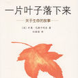 一片叶子落下来 一片叶子落下来
