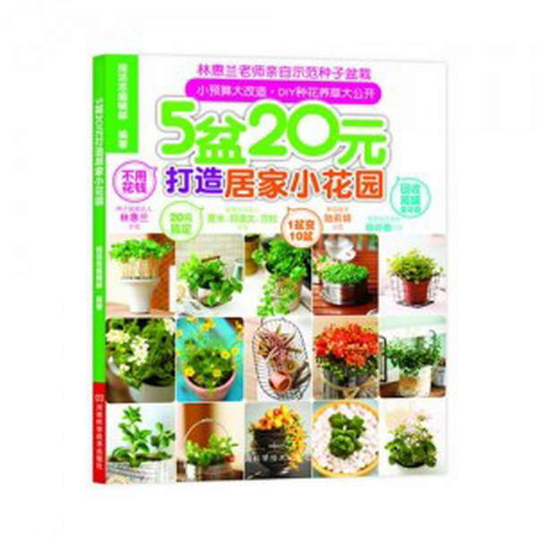 5盆20元打造居家小花园 5盆20元打造居家小花园