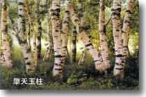 东灵山 东灵山