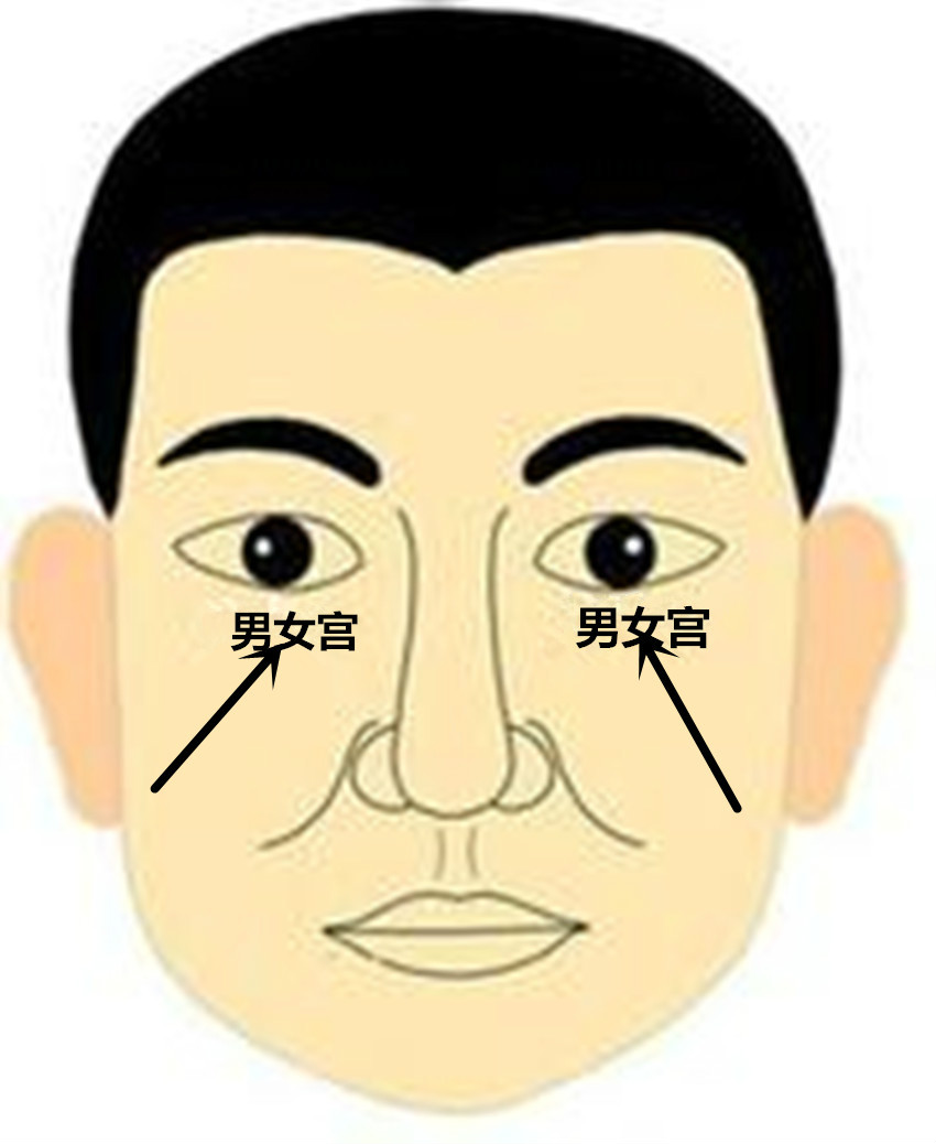 男女宫 男女宫