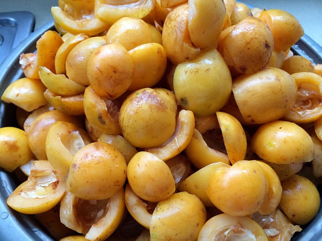 蜜饯枇杷膏