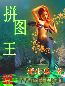《拼图王》封面 《拼图王》封面